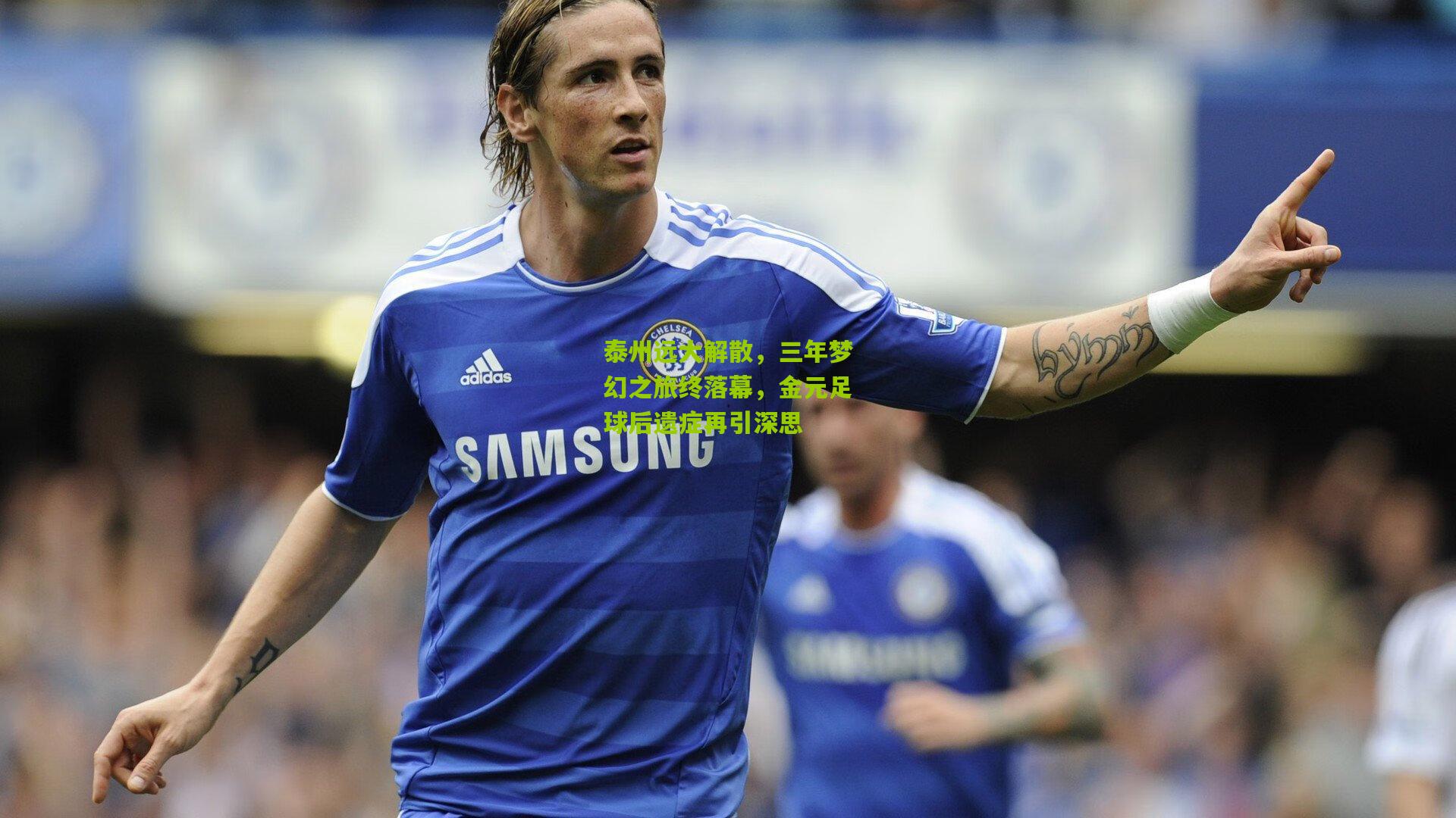 泰州远大解散，三年梦幻之旅终落幕，金元足球后遗症再引深思